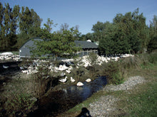 Lade das Bild in den Galerie-Viewer, BIO Daunendecke Plume ganzjährig